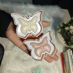 Mocallure Glow Wings Butterfly Highlighter Pack of 4
