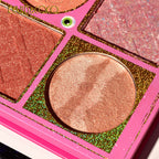 KEVIN & COCO 6 Color Highlighter